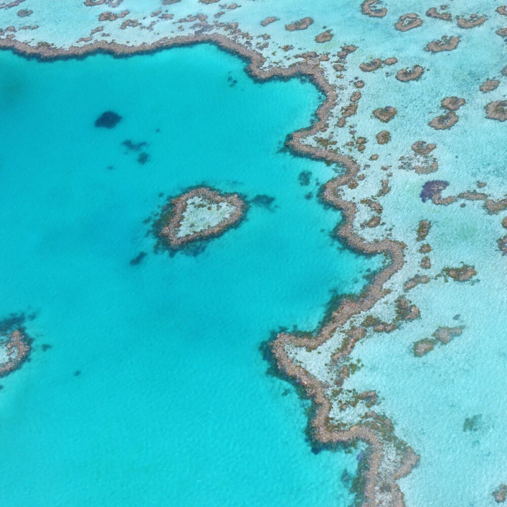 reef photograp best australian souvenirs gifts photography books