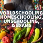 sitting exams for worldschoolers homeschoolers unschoolers