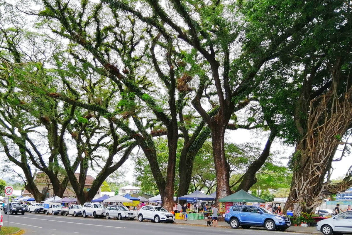 Mossman Saturday Markets Under The Rain Trees Mossman Australia