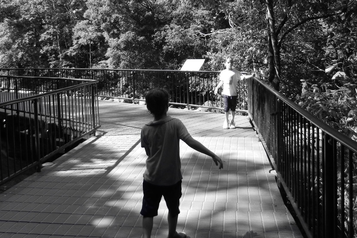 Mossman Gorge rainforest walkways