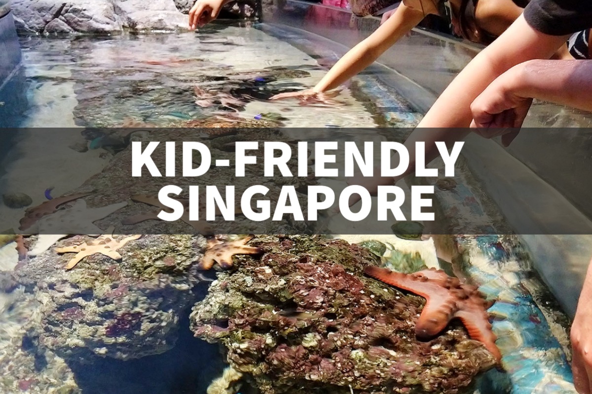 things to do in Singapore with kids children touch pool