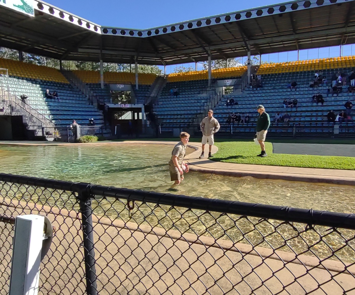 Australia zoo crocodile show