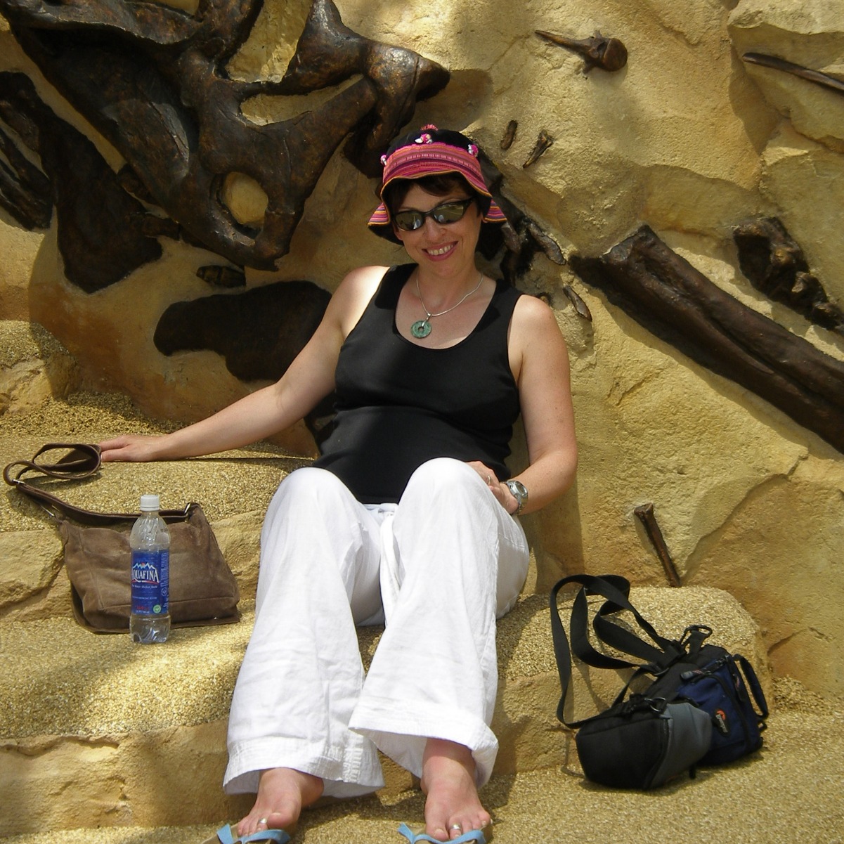 Disney parks while pregnant