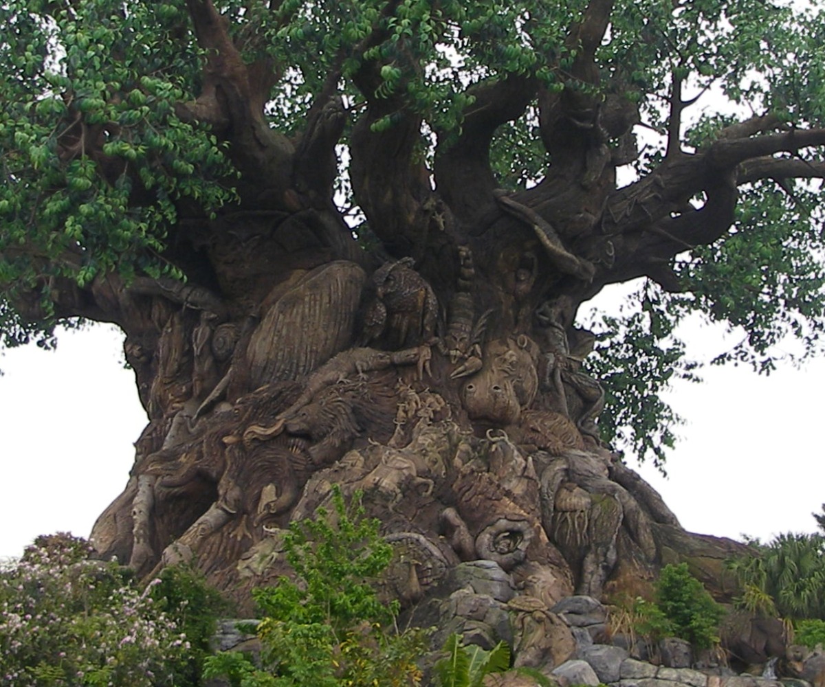 Disney animal kingdom kids tree of life