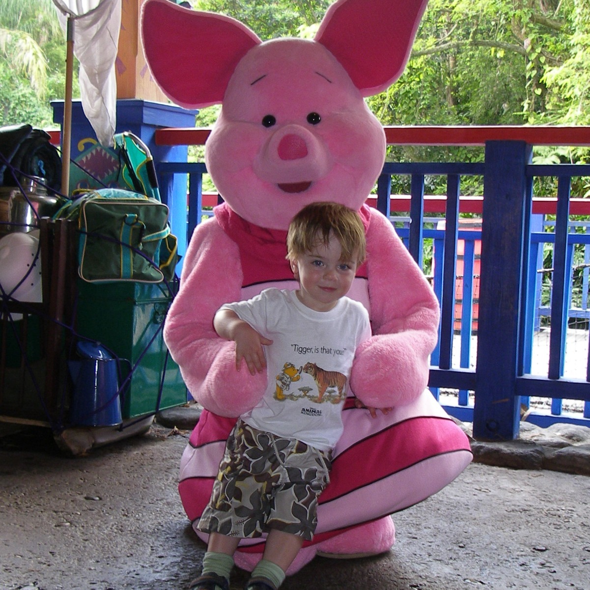 Disney character greets at Animal Kingdom
