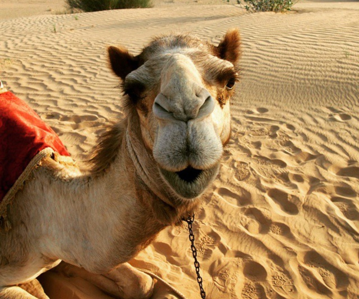 Dubai in December desert