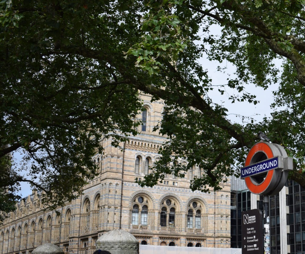 England Museums Kids