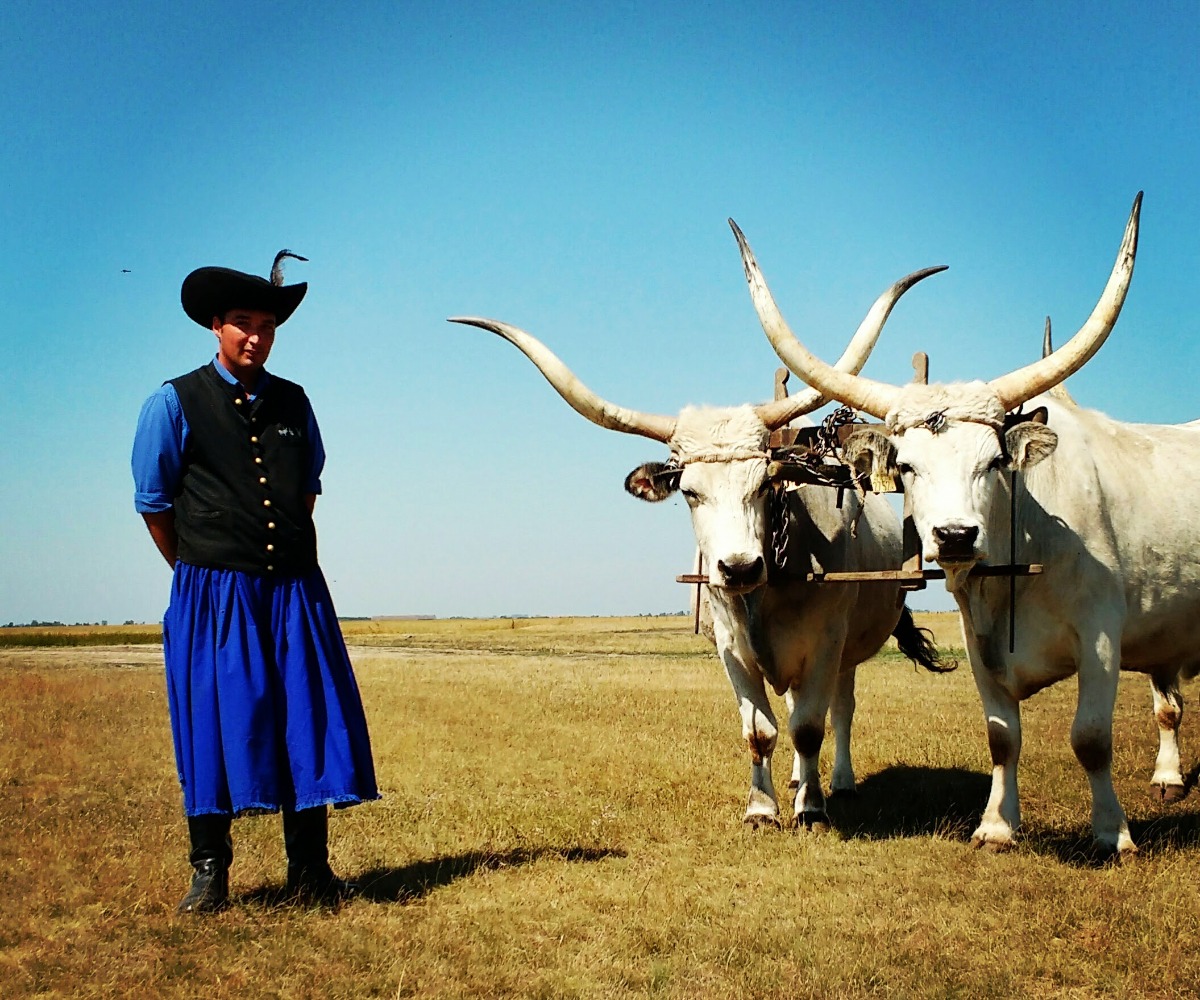 Europe Destinations Summer Hortobagy horsemen Hungary