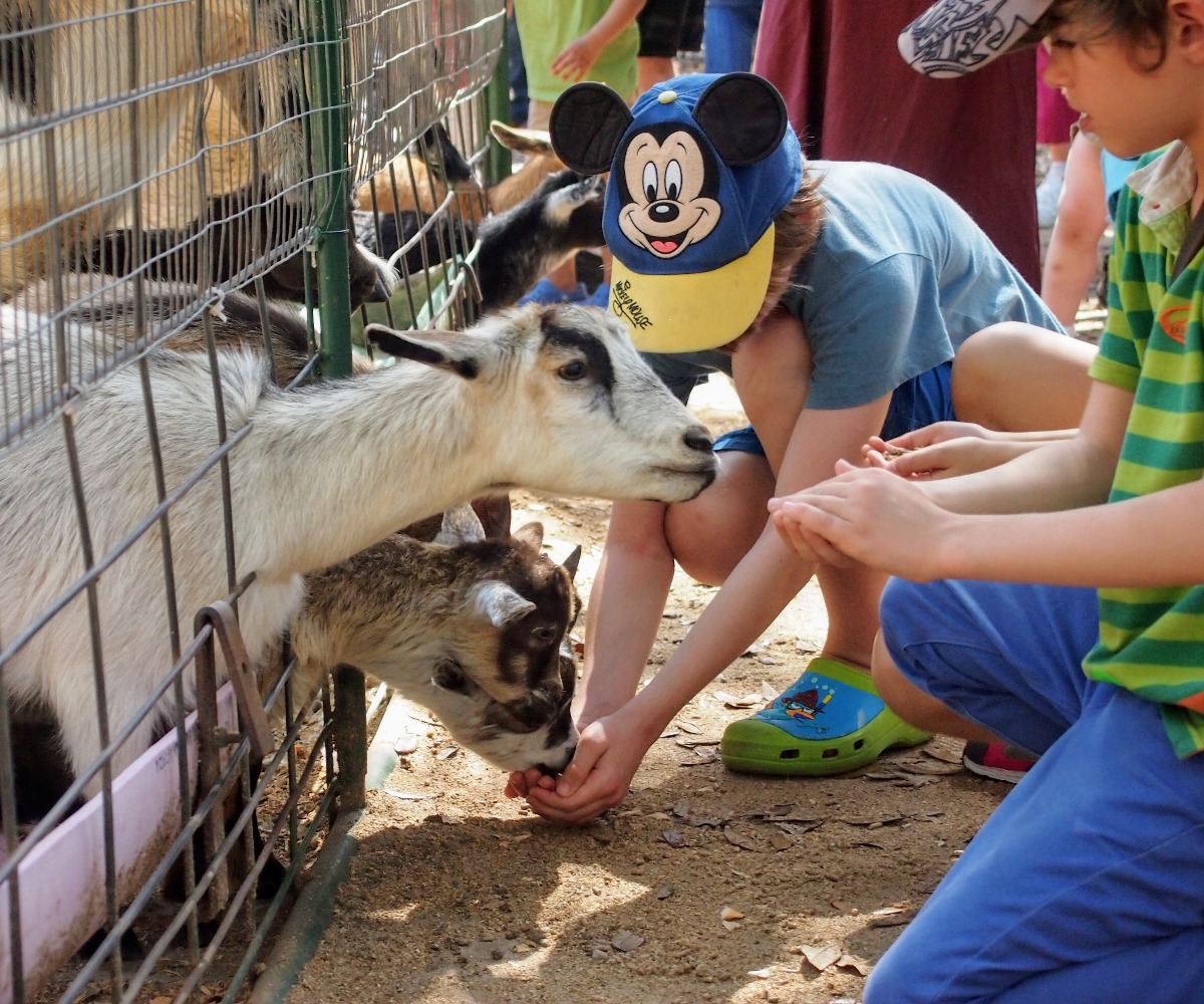 Florida Petting Zoo Adventure Family