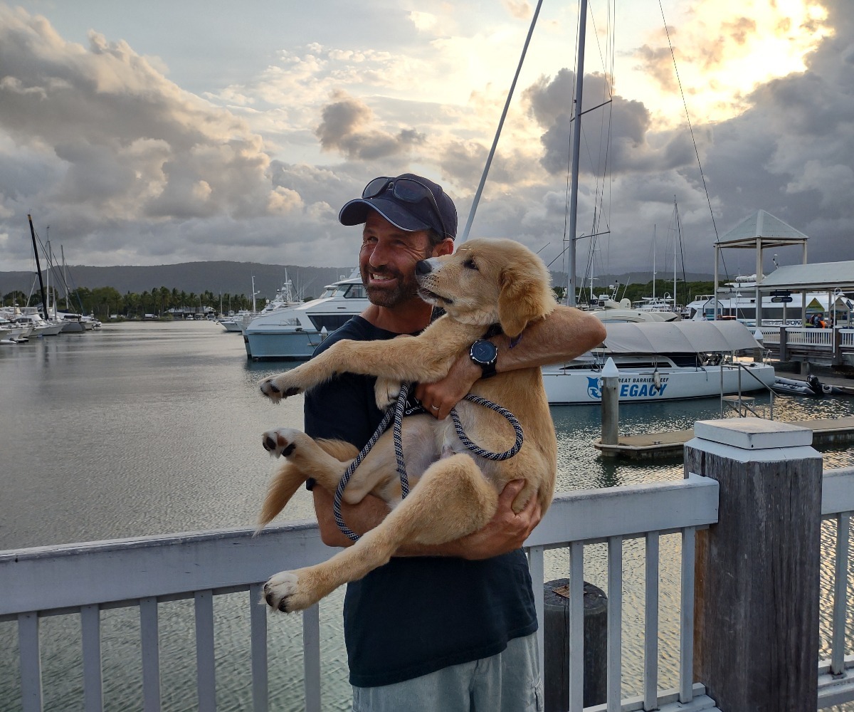 travel more dog pets