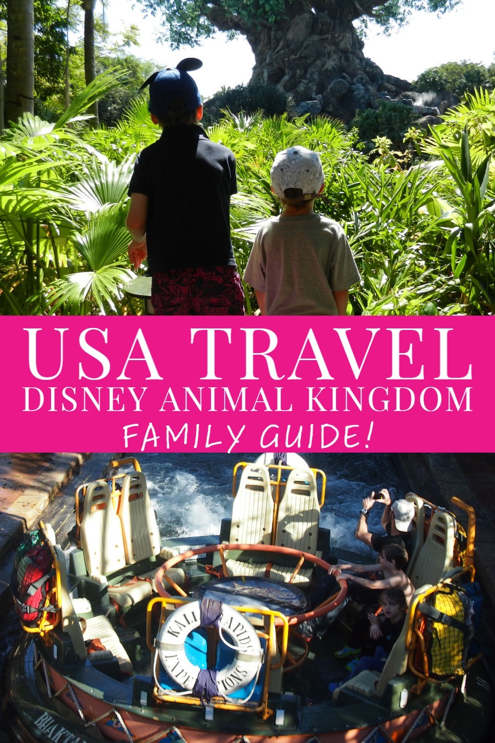 disney animal kingdom for families