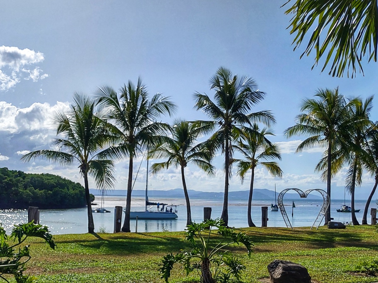 Port Douglas waterfront palm trees boats
