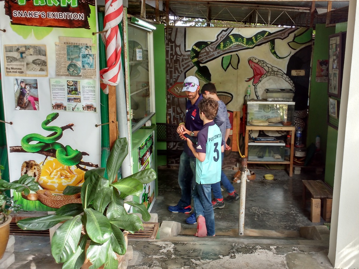 snake zoo penang