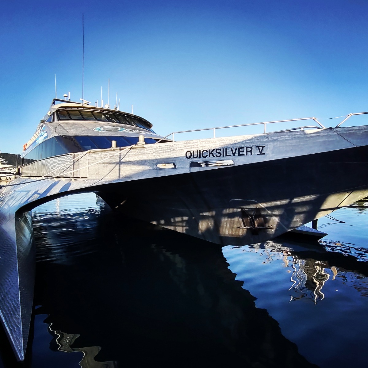 reef trips from port douglas families kids