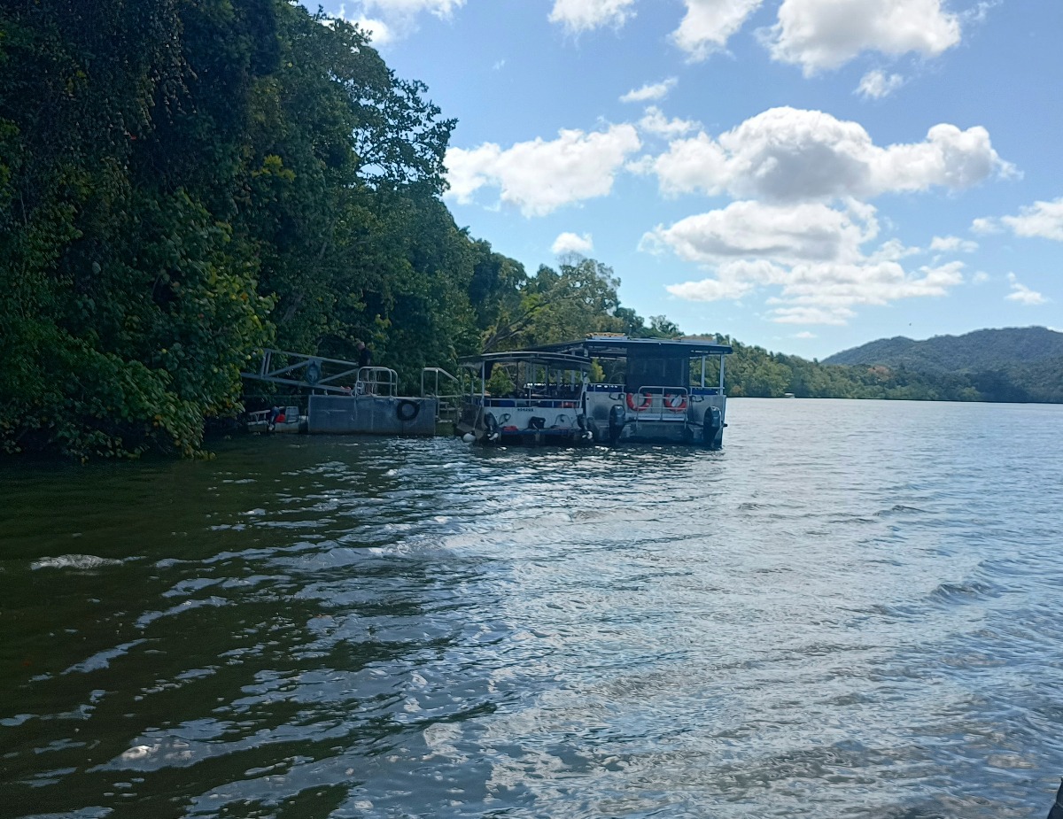 Daintree River cruise boats