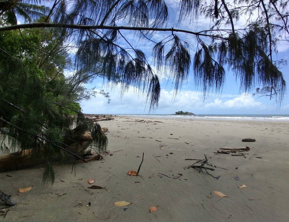 Daintree Thornton Beach