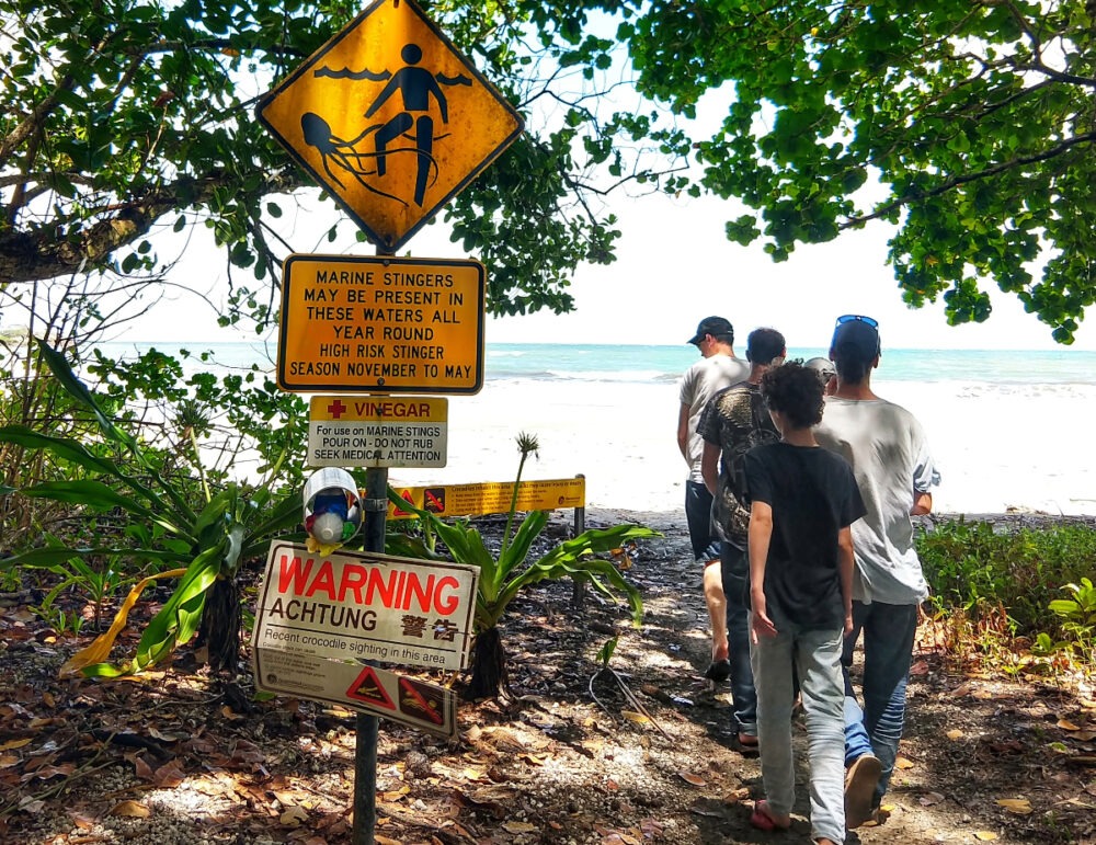 Rainforest to rref Daintree