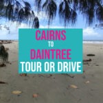 Daintree from Cairns Daintree Beach