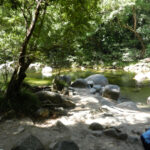 Port Douglas to Mossman Gorge (& Mossman Gorge Info) Mossman Gorge swimming