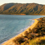 Palm Cove to Port Douglas The Palm Cove to Port Douglas Rd view