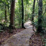 Daintree National Park Entry Fee (2024) Daintree NP Australia