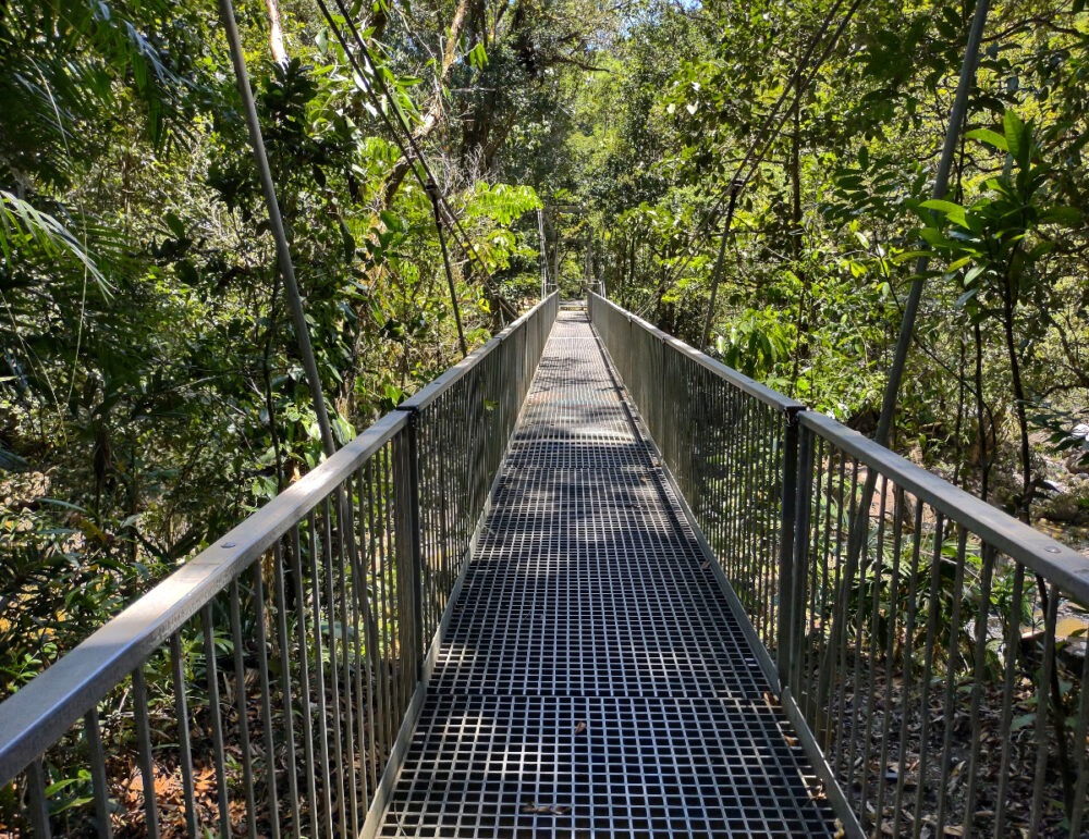 Walking trail Mossman Gorge Daintree
