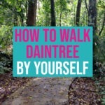 Can You Walk in The Daintree Rainforest By Yourself? Daintree Rainforest Walks by Yourself