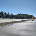 Port Douglas, 12 Mistakes Not To Make in Planning Or Visiting Port Douglas Australia Beach