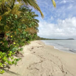 Living in Port Douglas on the beach