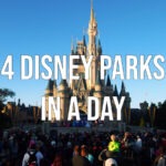 Visiting Four Disney Parks in One Day 4 disney parks in a day