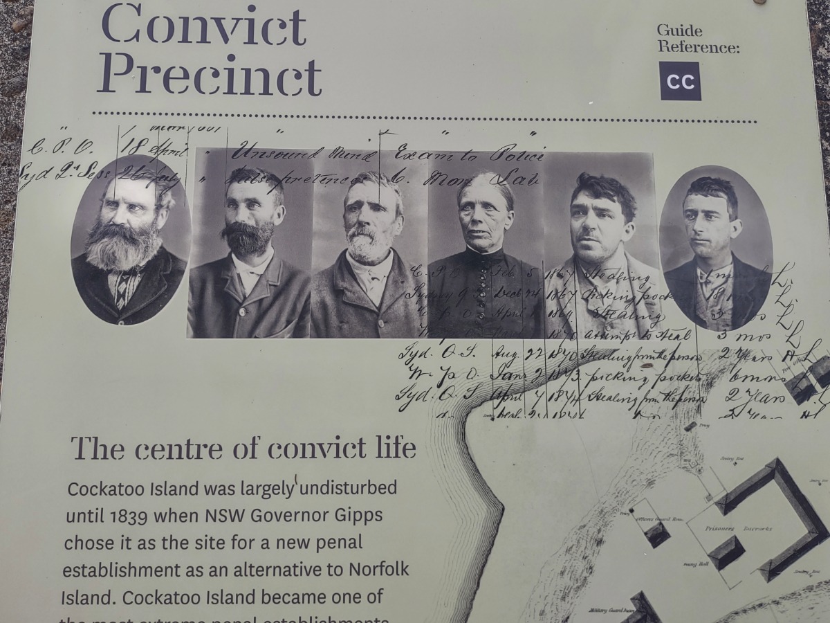 Sydney cockatoo island convicts