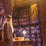 Harry Potter Experiences