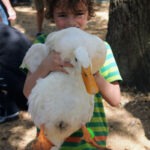 Orlando petting farm children.