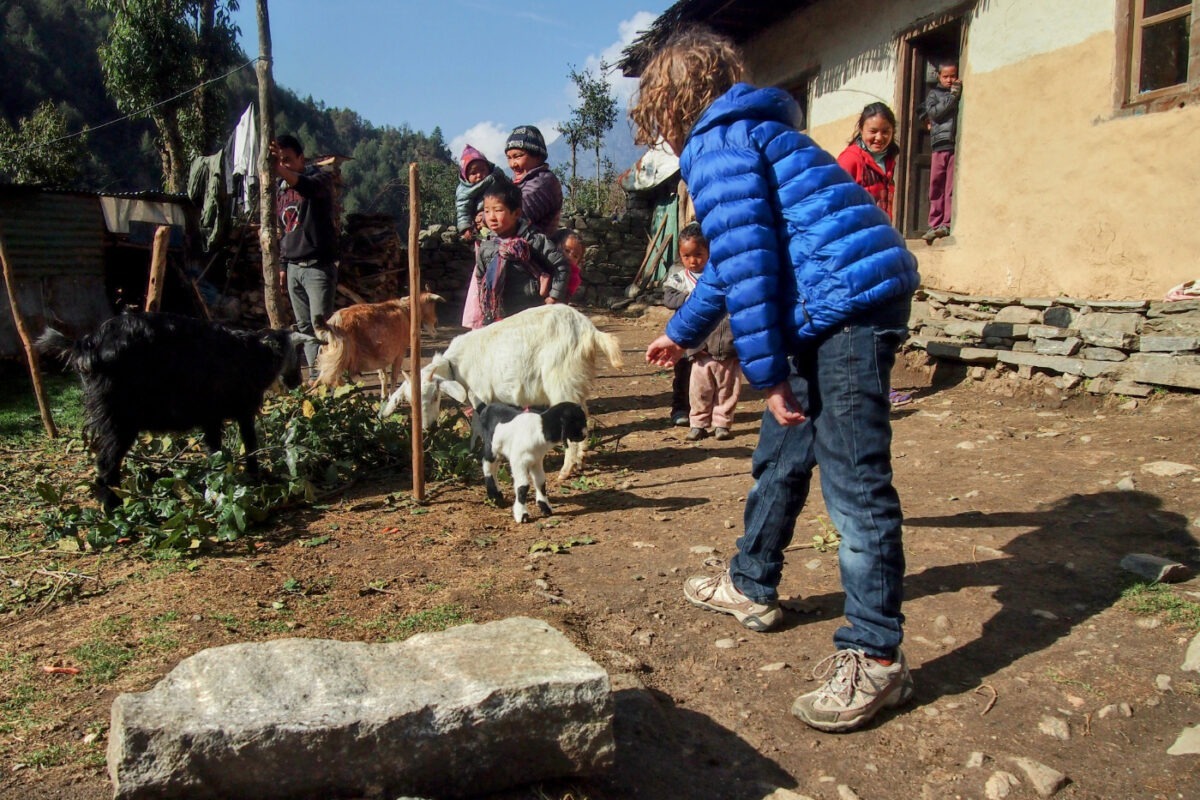 Child petting goats and a Nepali family observing, in Nepal