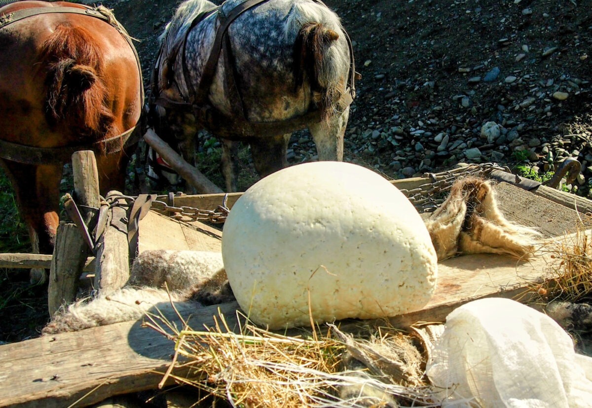 Breb Romania horse and cart carrying cheese