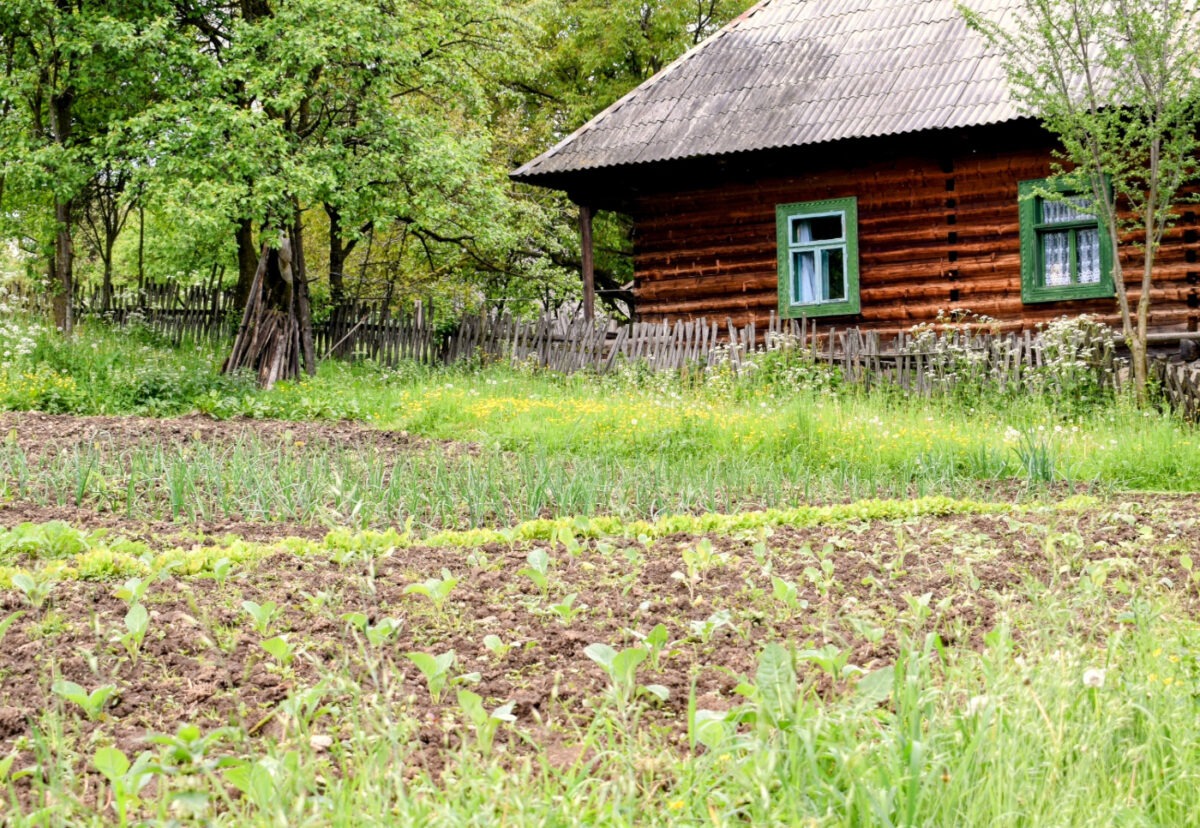 Breb Village Romania, traditional village house and vegetable gardens
