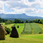 Breb Romania, view of fields haystacks and the mountain