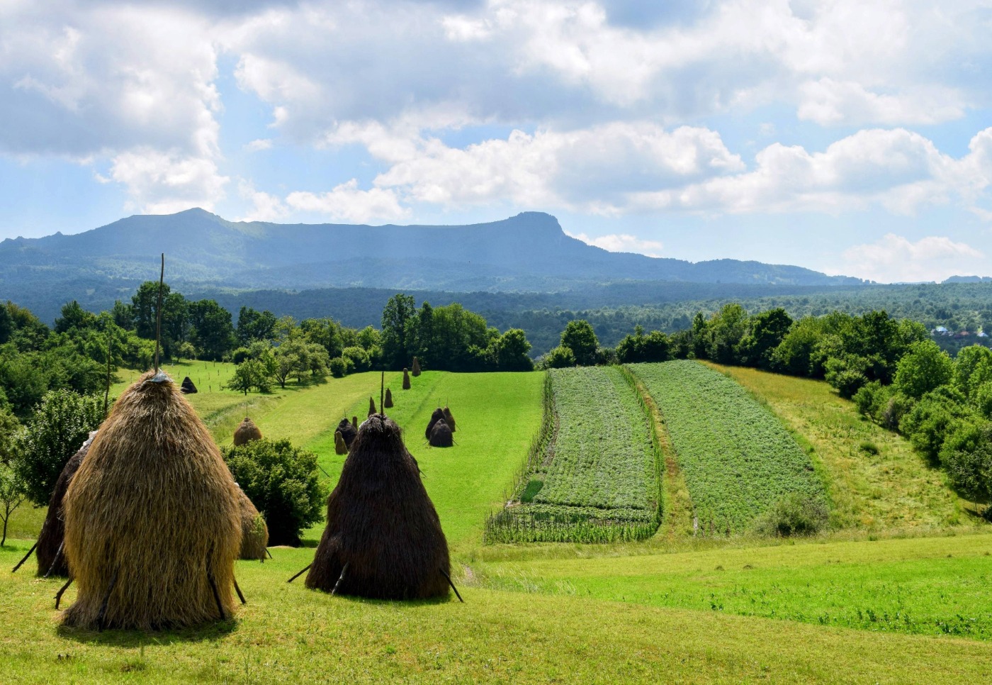 Breb Romania, view of fields haystacks and the mountain