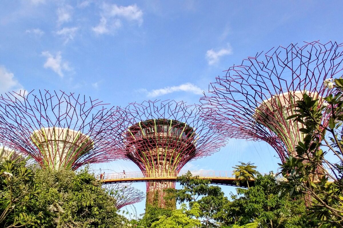 Must Do Things in Singapore Gardens By The Bay