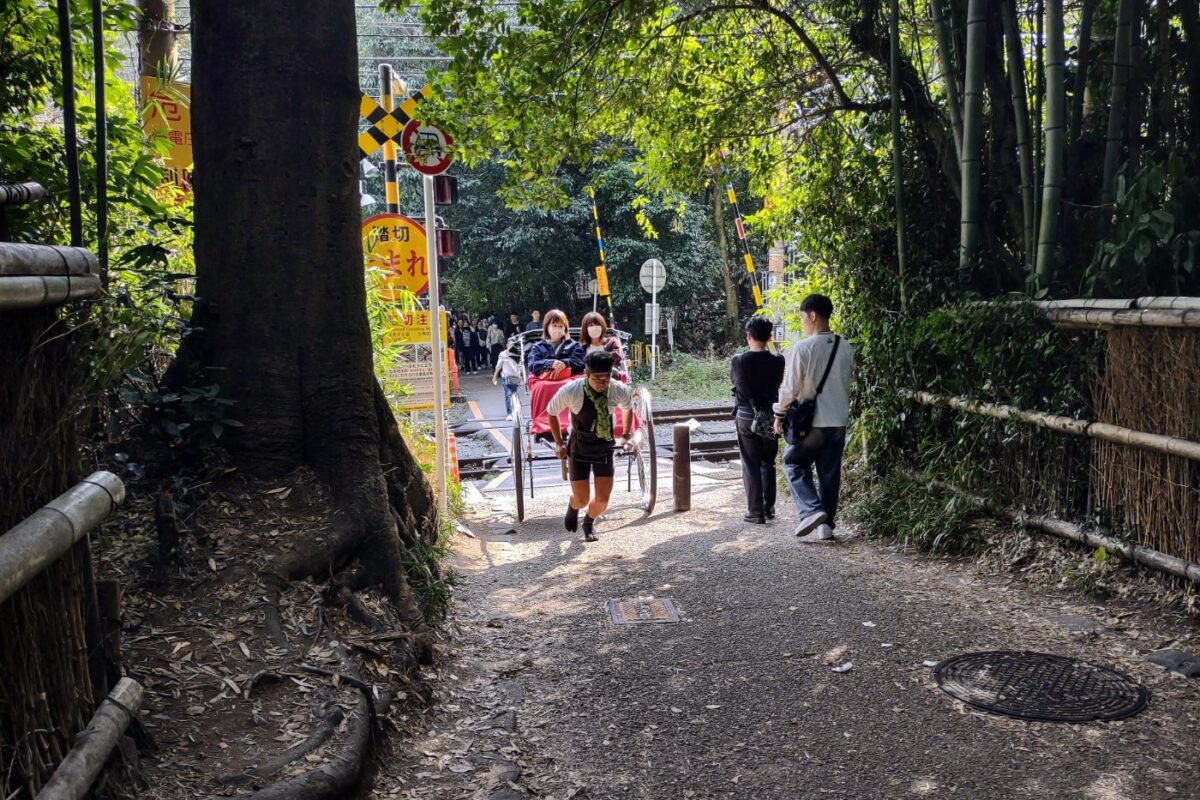 Rickshaw rides kyoto
