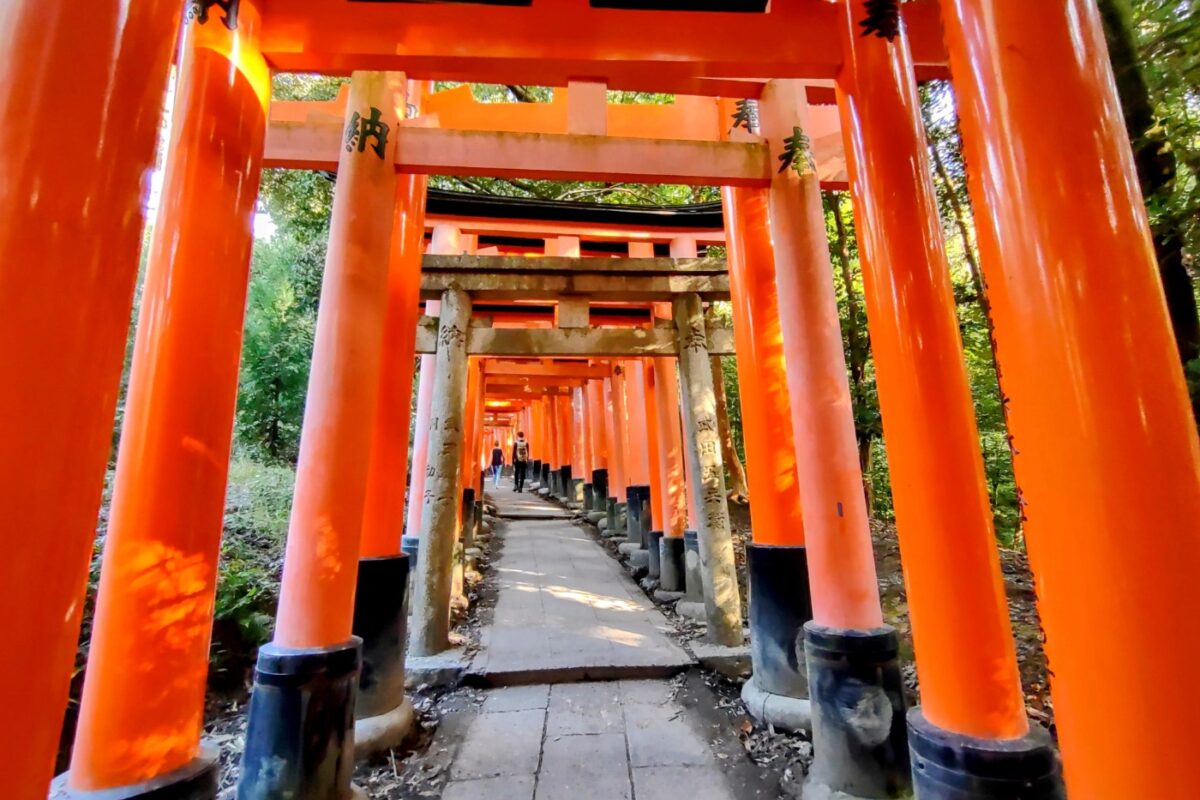 Things to do in Kyoto visit Fushimi Inari red gates temple
