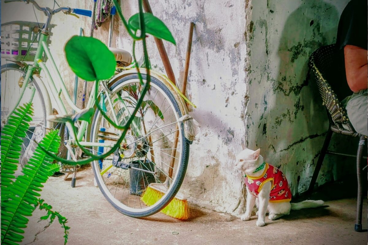 Kung cafe restaurant Vientiane Laos