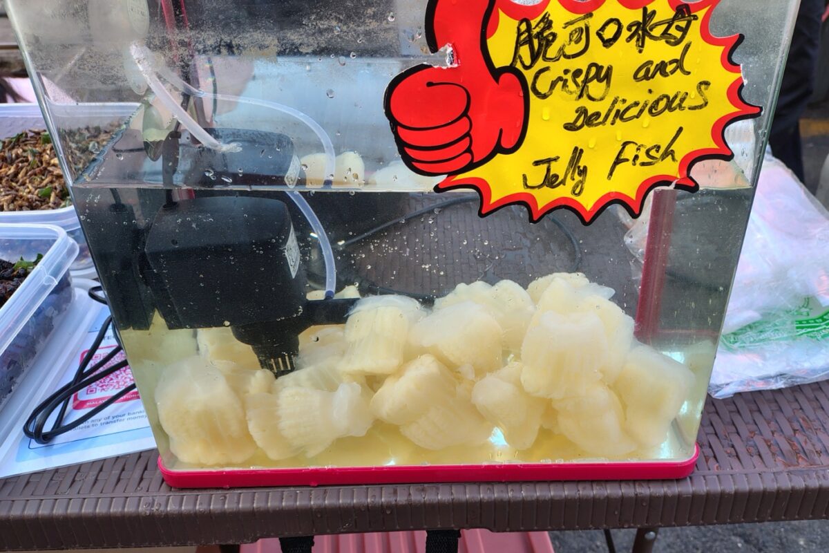 Live Jellyfish for sale at Jonker Street Night Market.