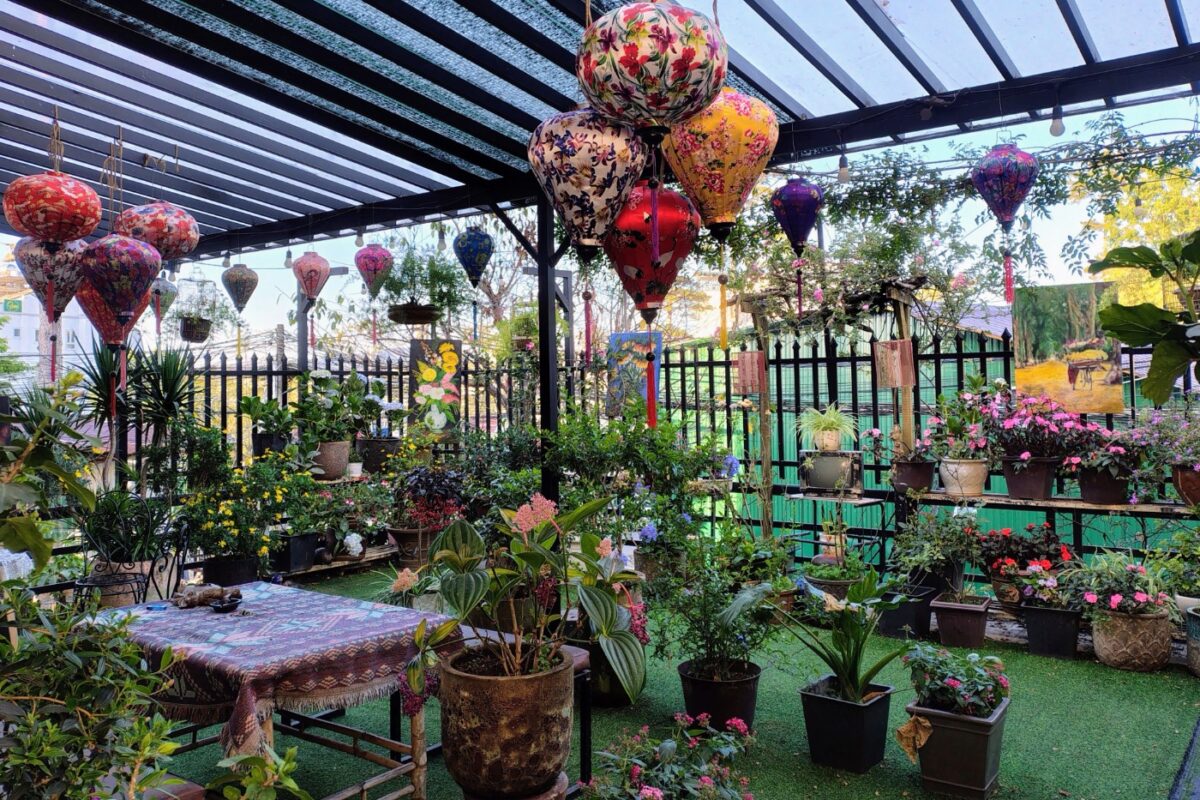 Garden terrace at the red house hostel da lat