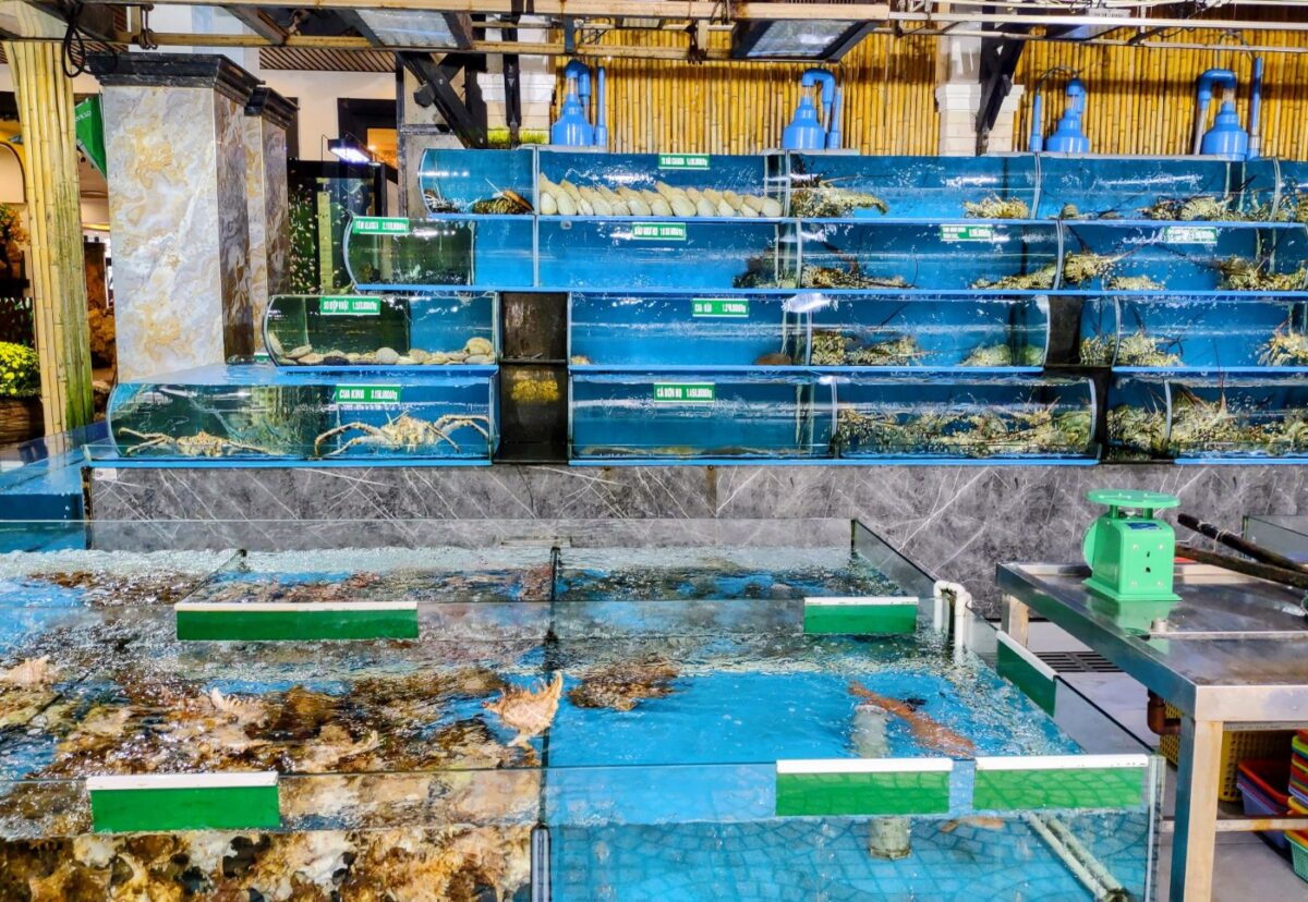 Danang restaurant scene live seafood in tanks