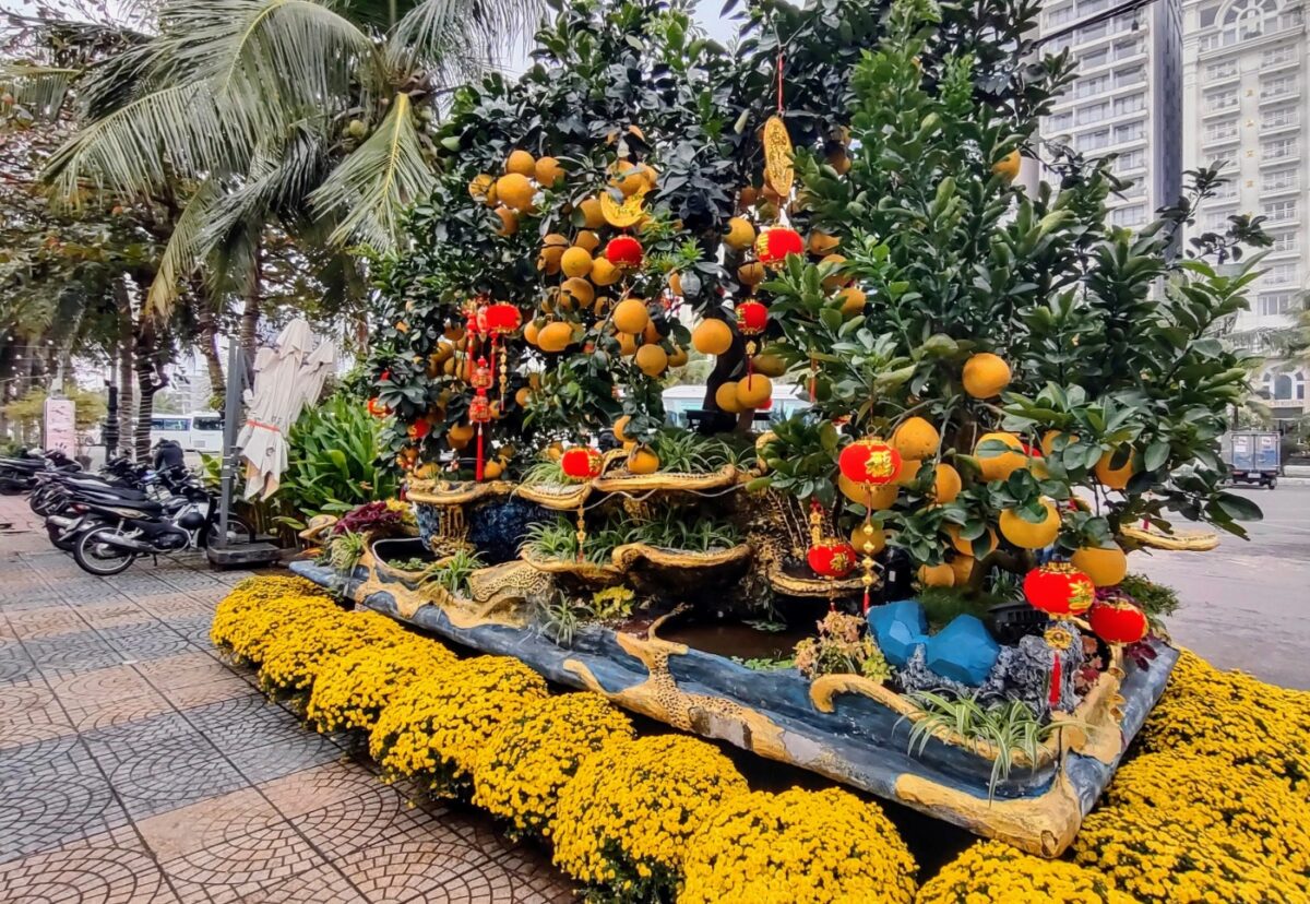Is it worth visiting Da Nang in December, January, February. Holiday decorations